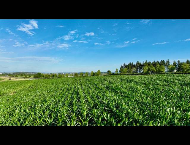 LAND FOR SALE IN MOUNT VERDE